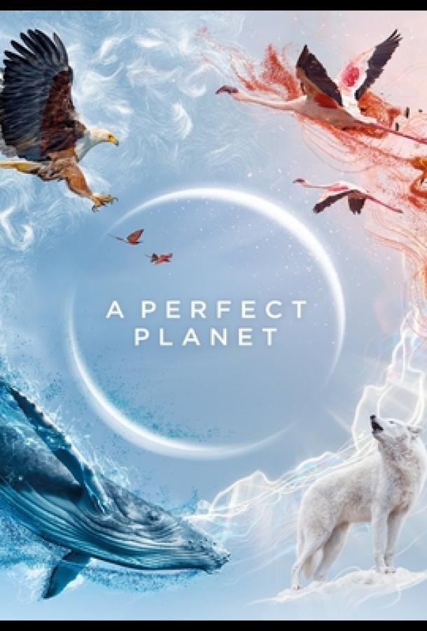 Идеальная планета (2021) 1 сезон 5 серия