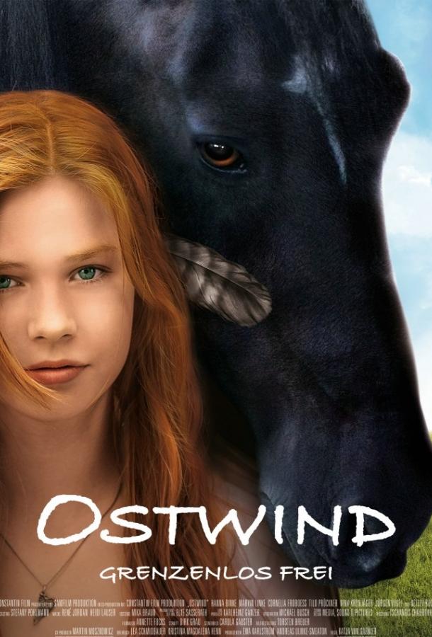 Оствинд / Восточный ветер (2013) 