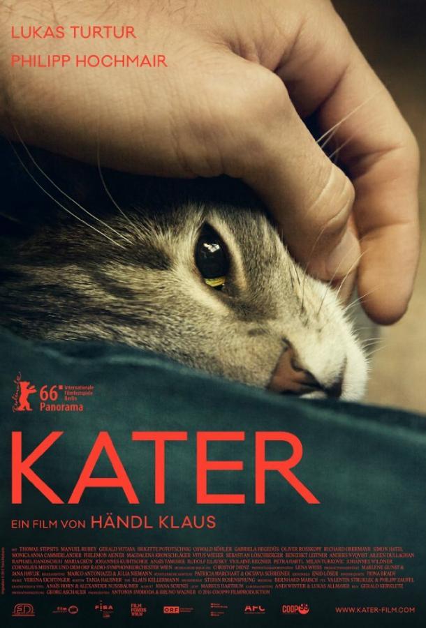Кот (2016) 