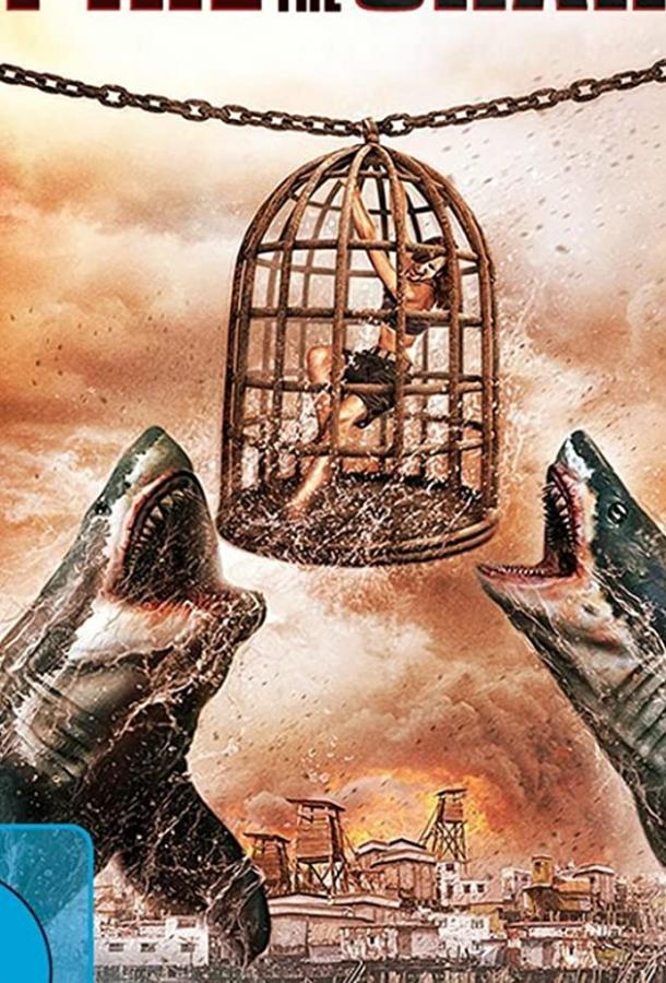 Империя акул (2017) 
