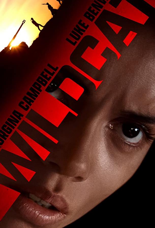 Дикая кошка (2021) 