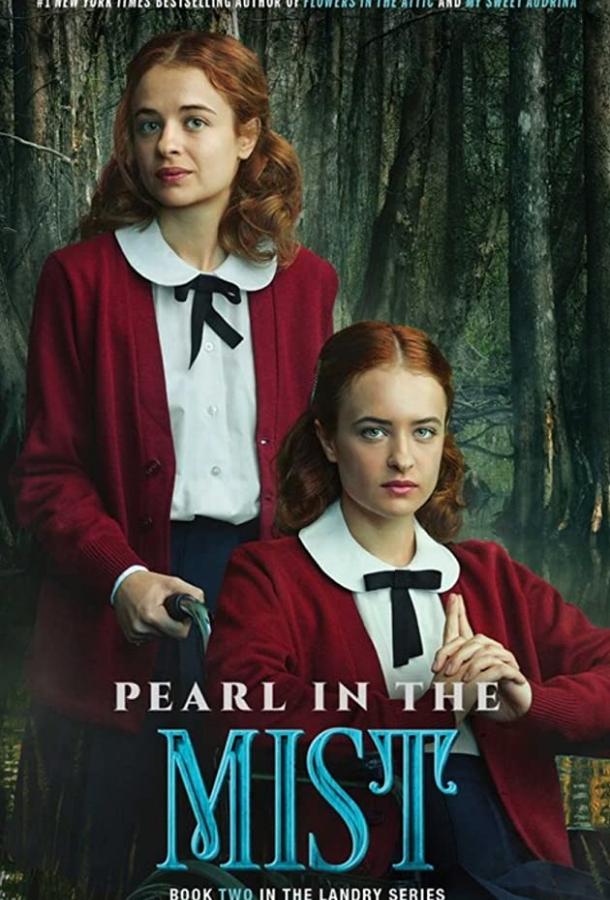 Семейство Лэндри: Свет в ночи (2021) 