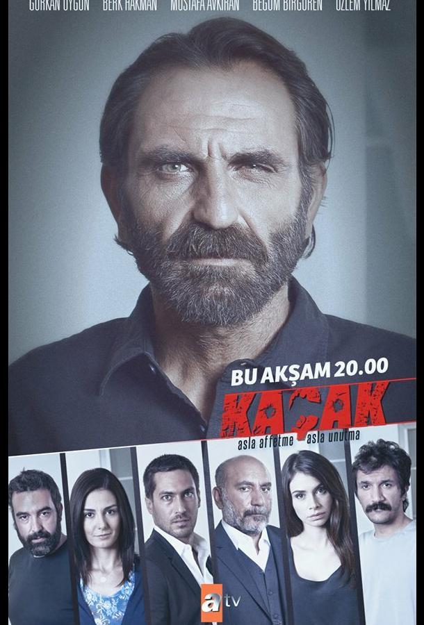 Беглец (2013) 1 сезон 43 серия