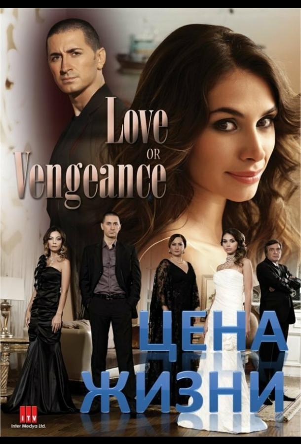 Цена жизни (2009) 1 сезон 70 серия
