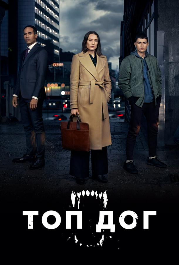 Топ дог (2020) 2 сезон 6 серия