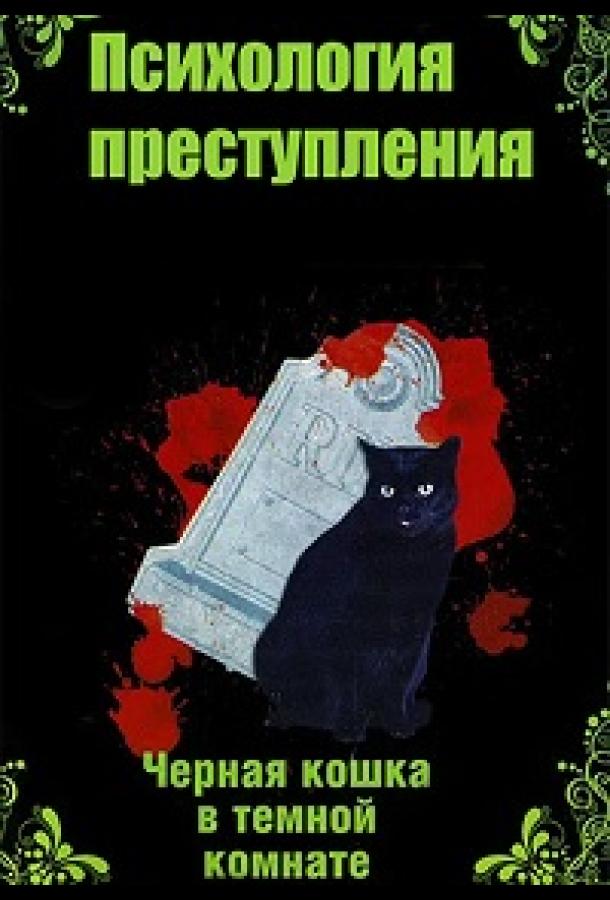 Психология преступления.Чёрная кошка в тёмной комнате (2021) 1 сезон 2 серия