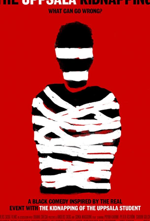 Похищение в Уппсале (2018) 