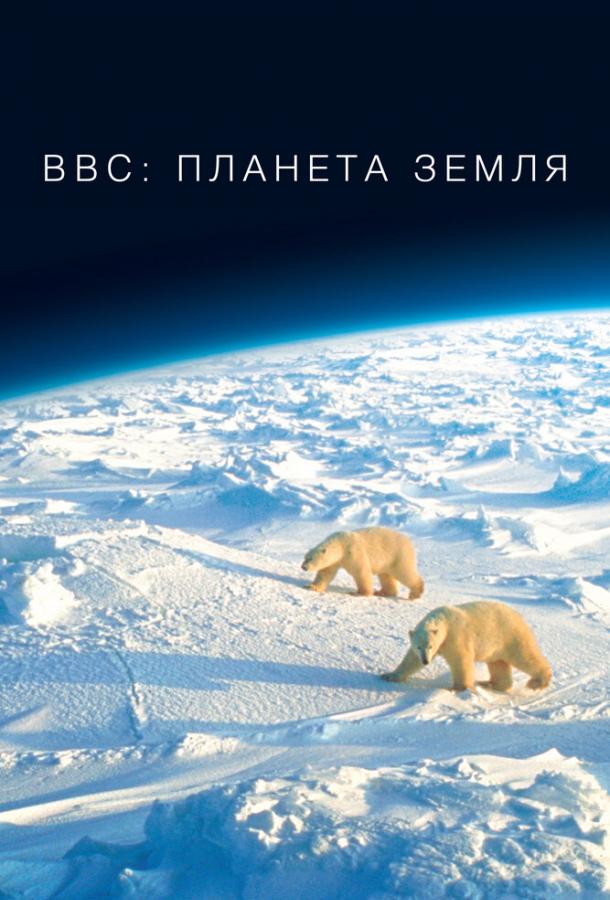 BBC: Планета Земля (2006) 1 сезон 11 серия
