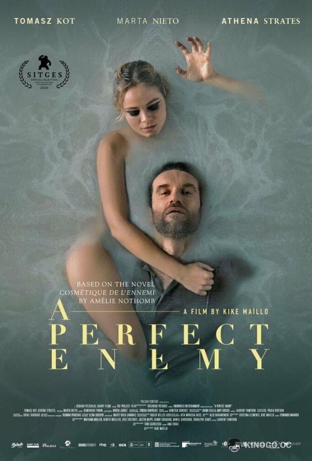 Идеальный враг (2020) 