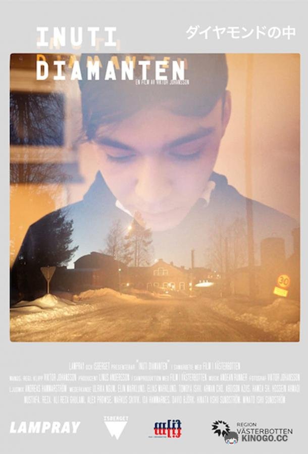 Внутри алмаза (2020) 