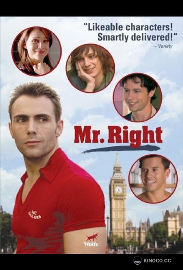 Мистер идеал (2009) 