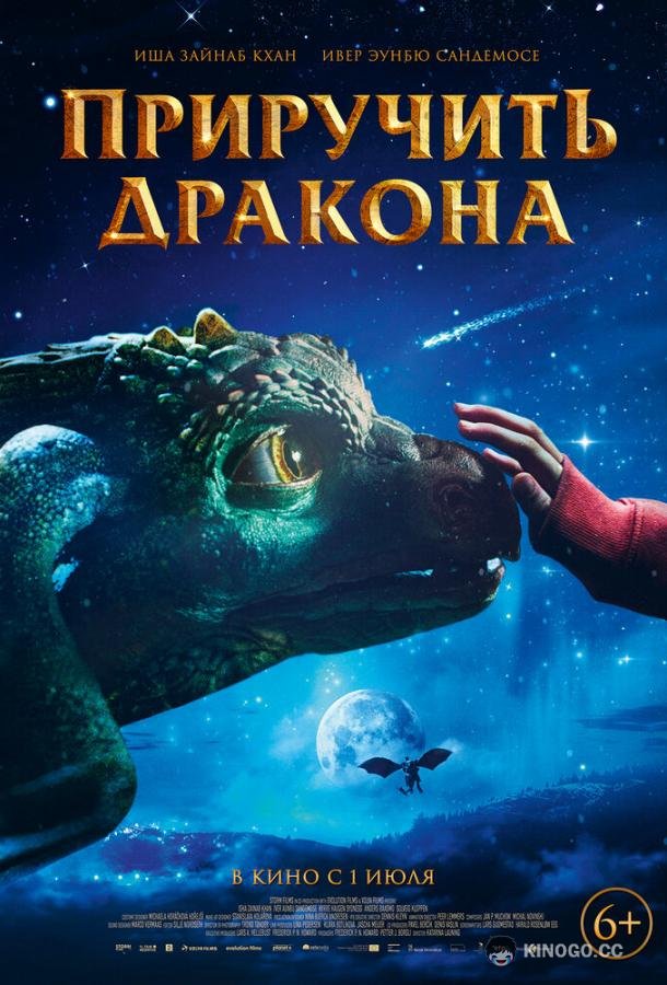 Приручить дракона (2020) 