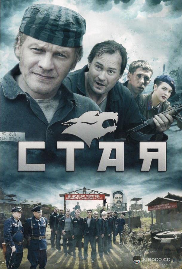 Стая (2009) 1 сезон 8 серия