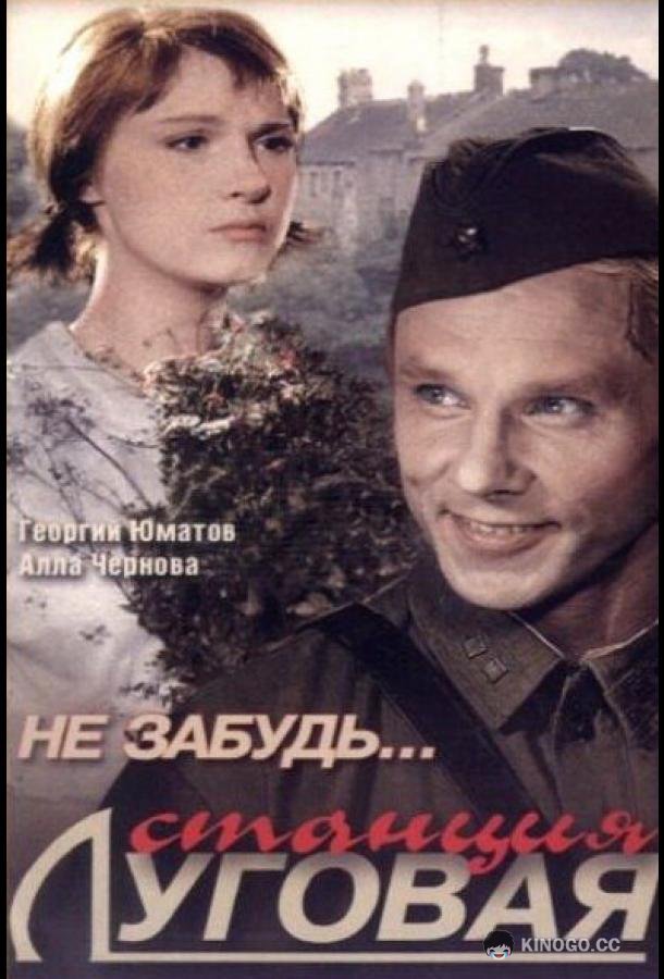 Не забудь... станция Луговая (1966) 