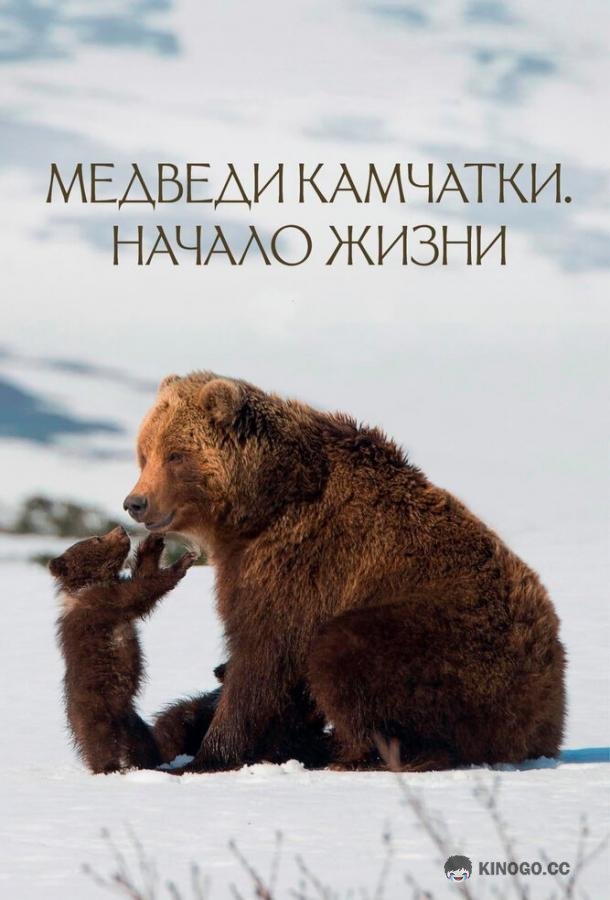 Медведи Камчатки. Начало жизни (2018) 