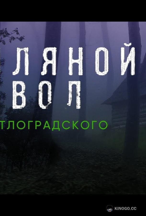 Земляной дьявол. Дело светлоградского маньяка (2020) 