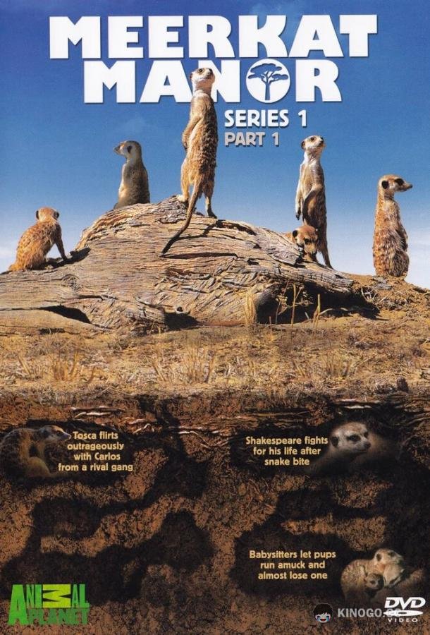 Поместье сурикат (2005) 4 сезон 13 серия