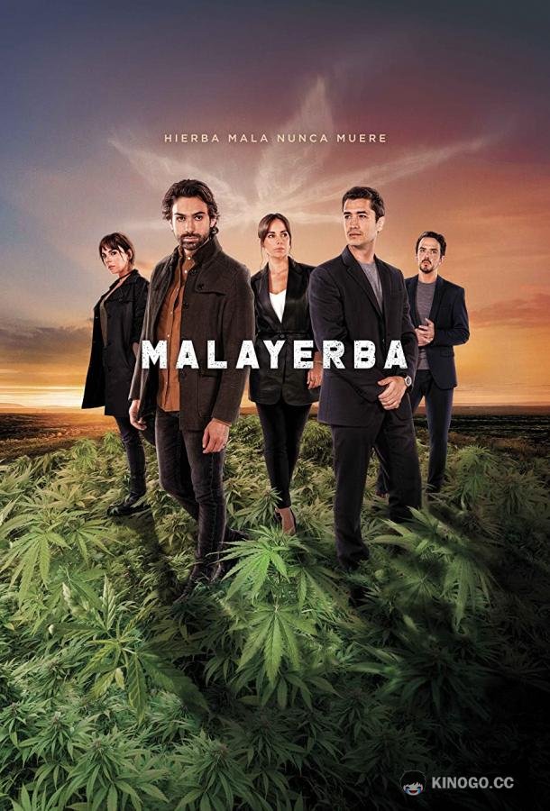 Дурная трава (2021) 1 сезон 10 серия