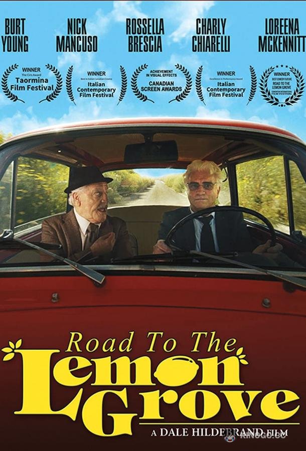 Дорога к лимонной роще (2019) 