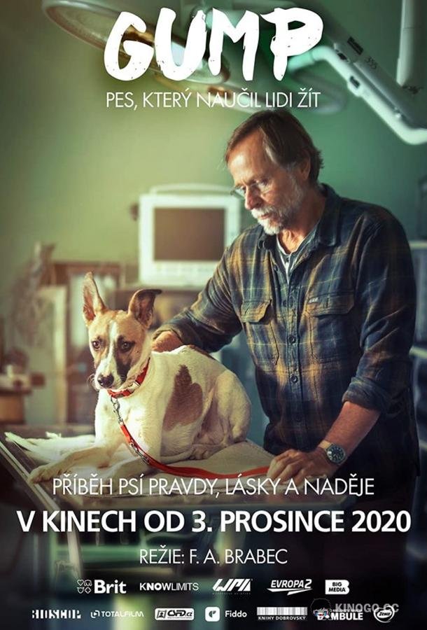 Гамп — пёс, который научил людей жить (2021) 