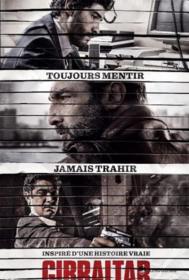 Осведомитель (2013) 