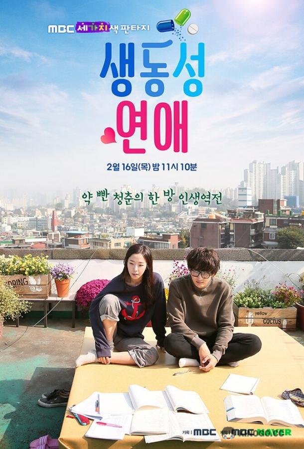 Яркая романтика (2017) 1 сезон 19 серия