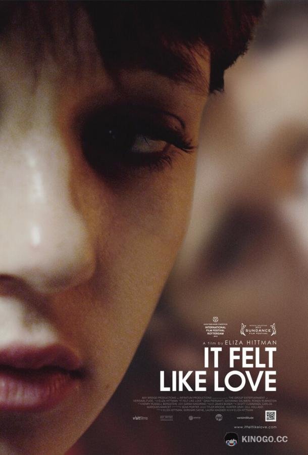 Похоже на любовь (2013) 