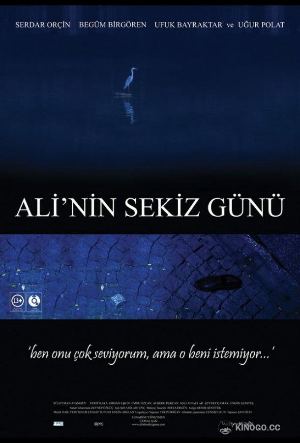 Восемь дней Али (2009) 