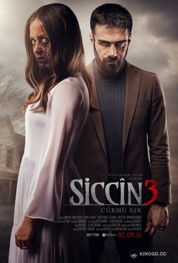 Сиджин 3 (2016) 