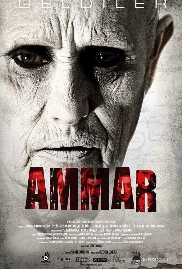 Аммар: Заказ джина (2014) 