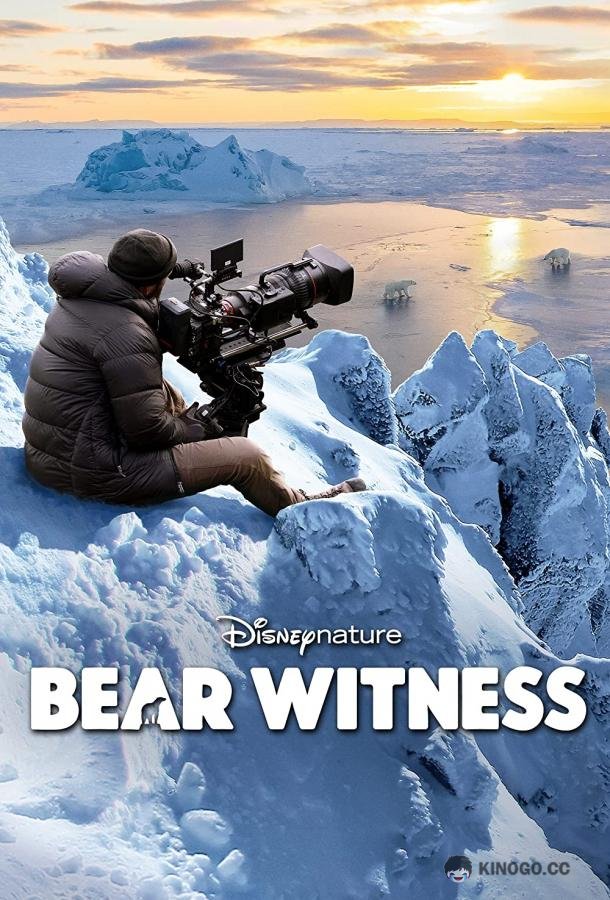 Наблюдение за медведем (2022) 