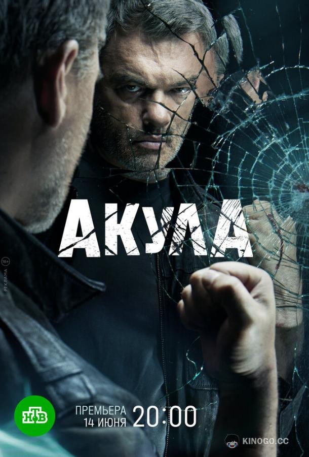 Акула (2022) 1 сезон 12 серия