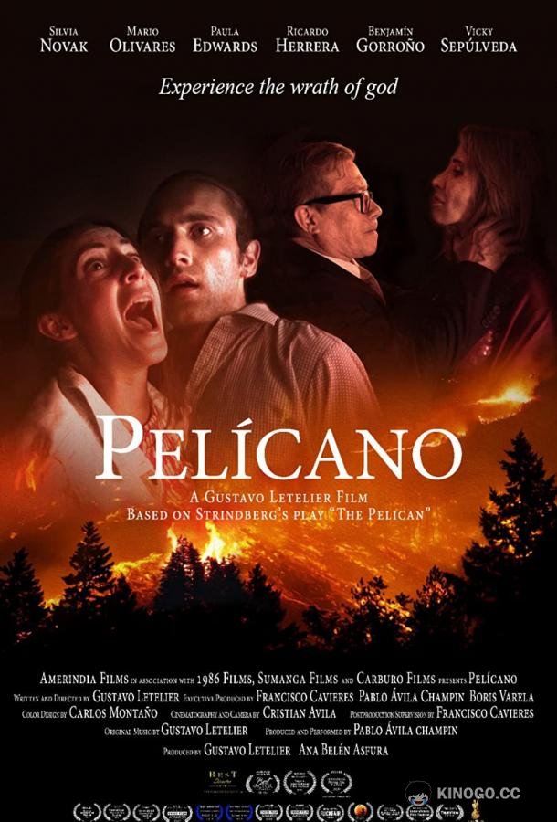 Пеликан (2019) 