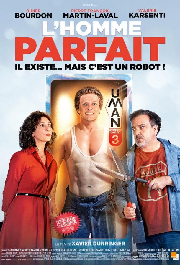 Мистер Идеальность (2019) 