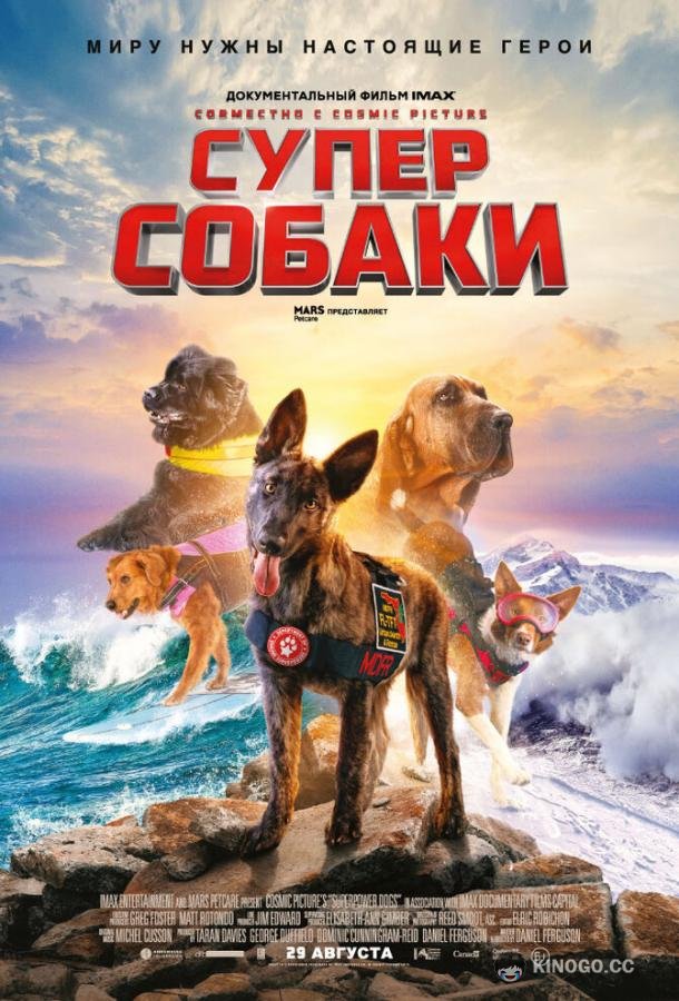 Суперсобаки (2019) 