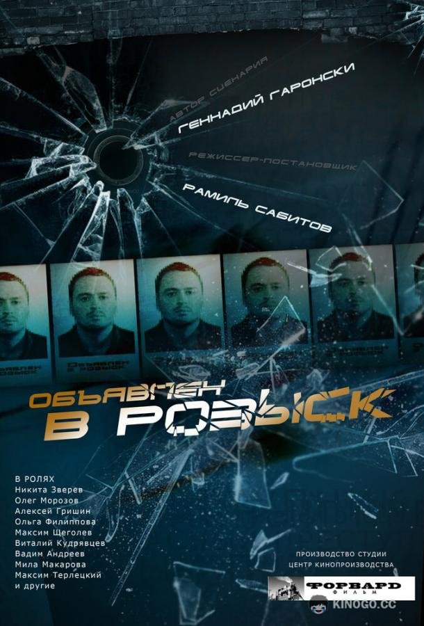 Объявлен в розыск (2010) 1 сезон 12 серия