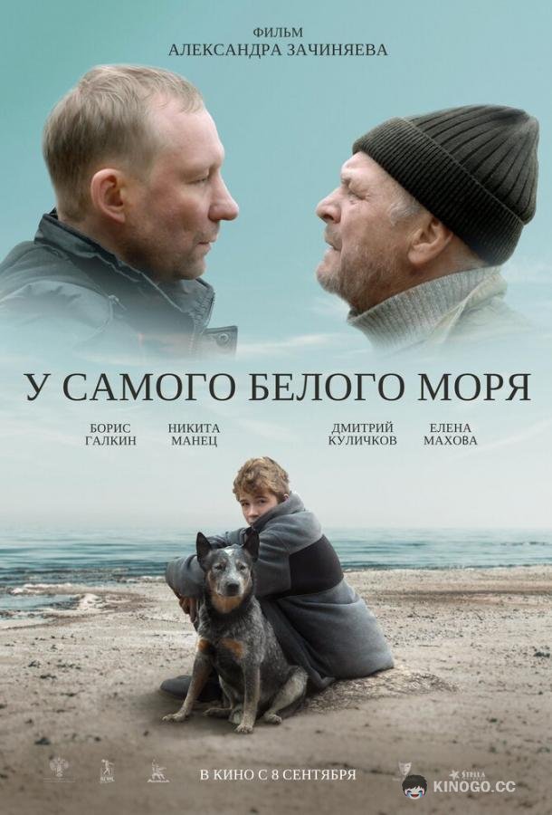 У самого Белого моря (2022) 