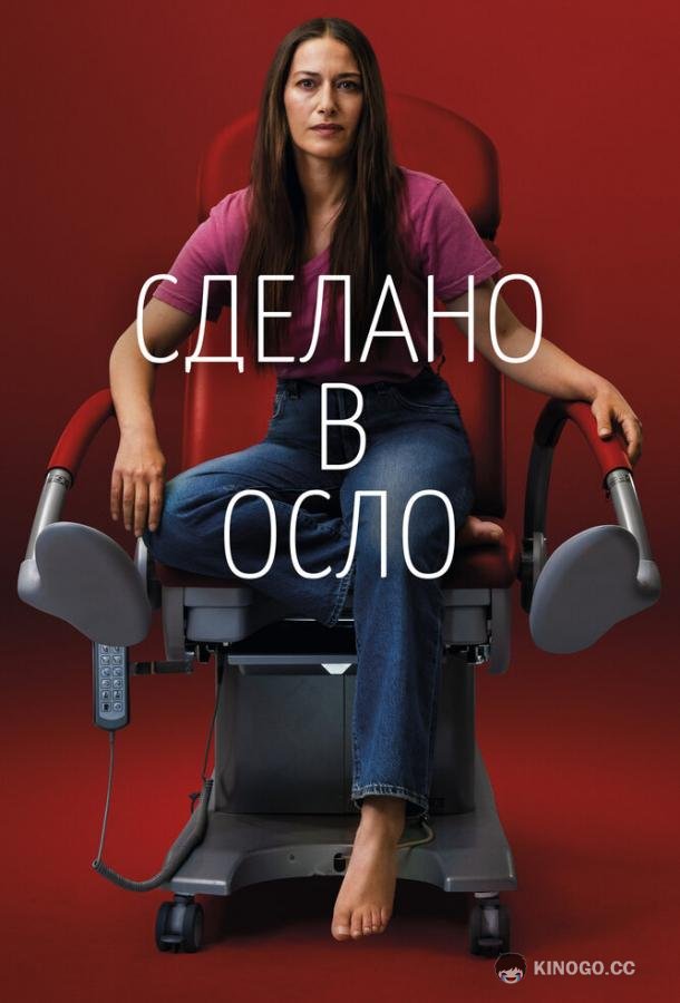 Сделано в Осло (2022) 1 сезон 8 серия