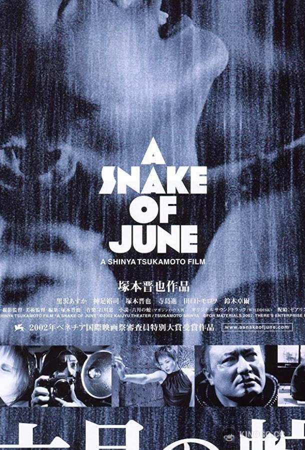 Июньский змей (2002) 