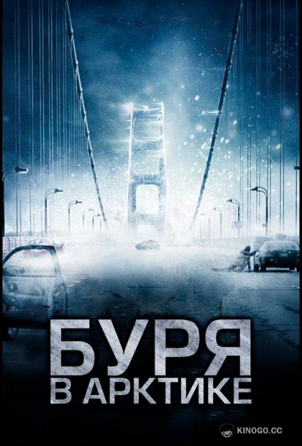 Буря в Арктике (2010) 