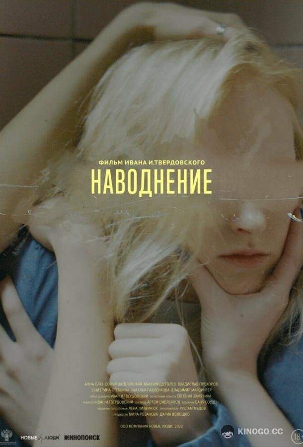 Наводнение (2022) 