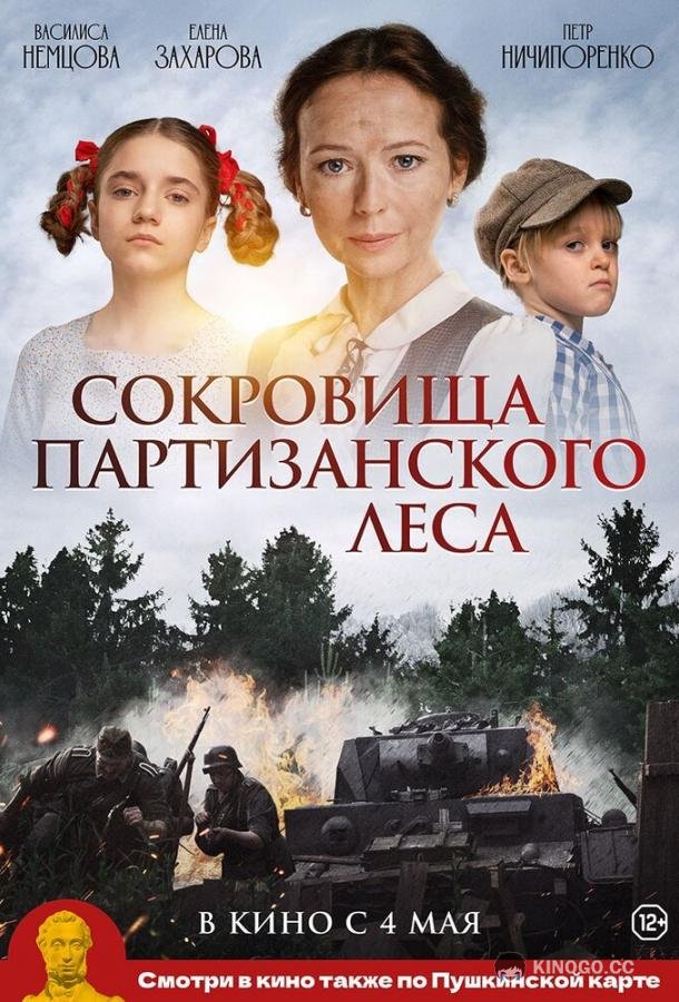 Сокровища партизанского леса (2023) 