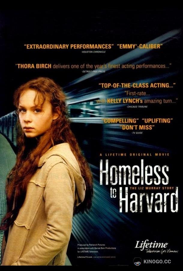Гарвардский бомж (2003) 
