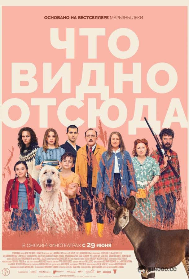 Что видно отсюда (2022) 