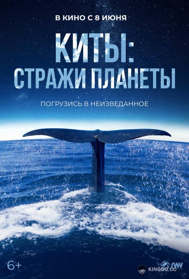 Киты: Стражи планеты (2023) 