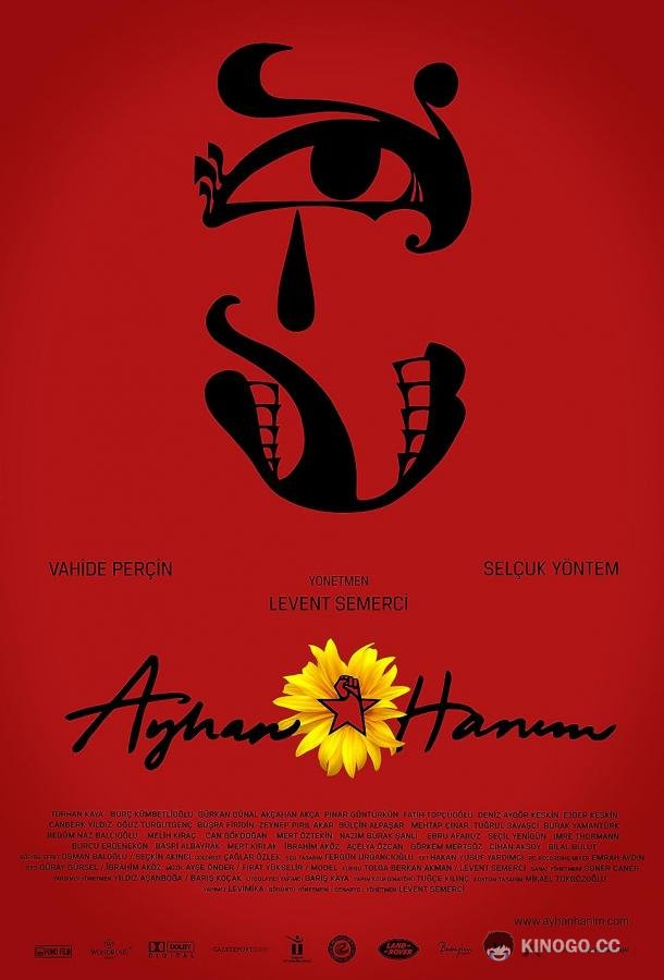 Госпожа Айхан (2014) 