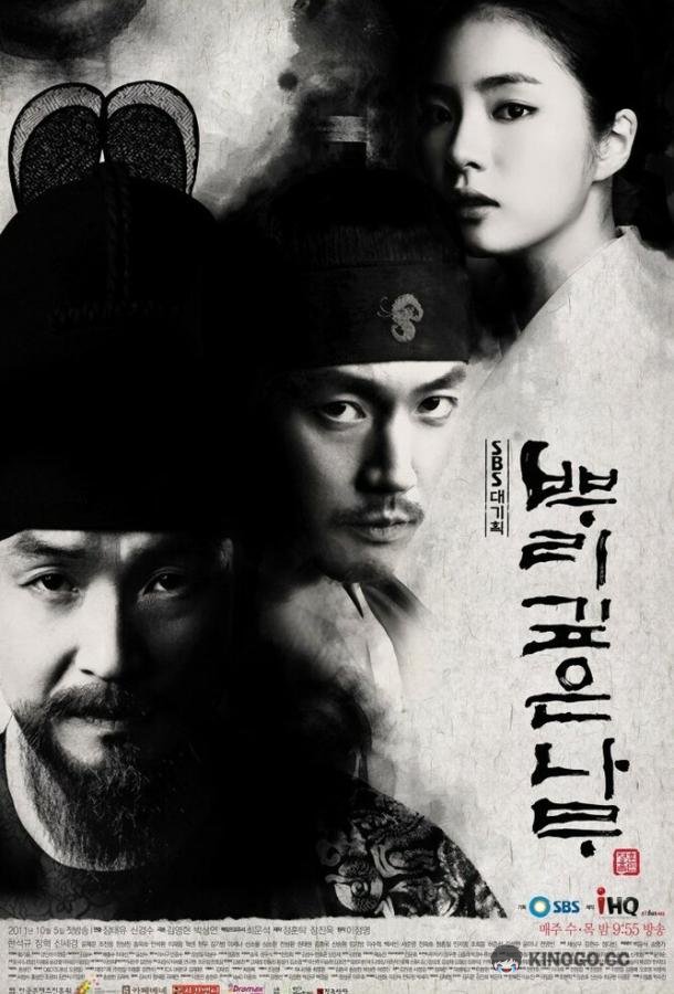 Дерево с глубокими корнями (2011) 1 сезон 24 серия