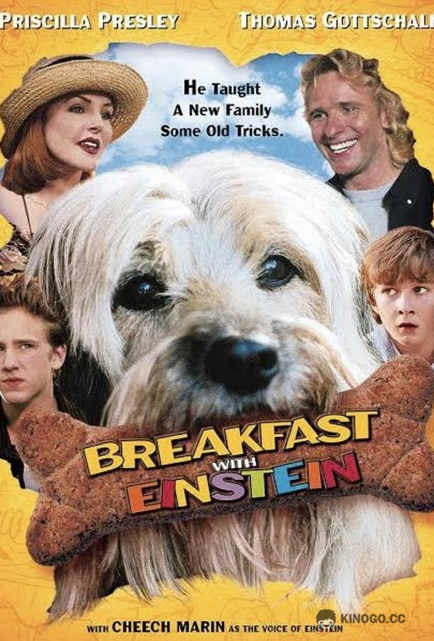 Завтрак с Эйнштейном (1998) 