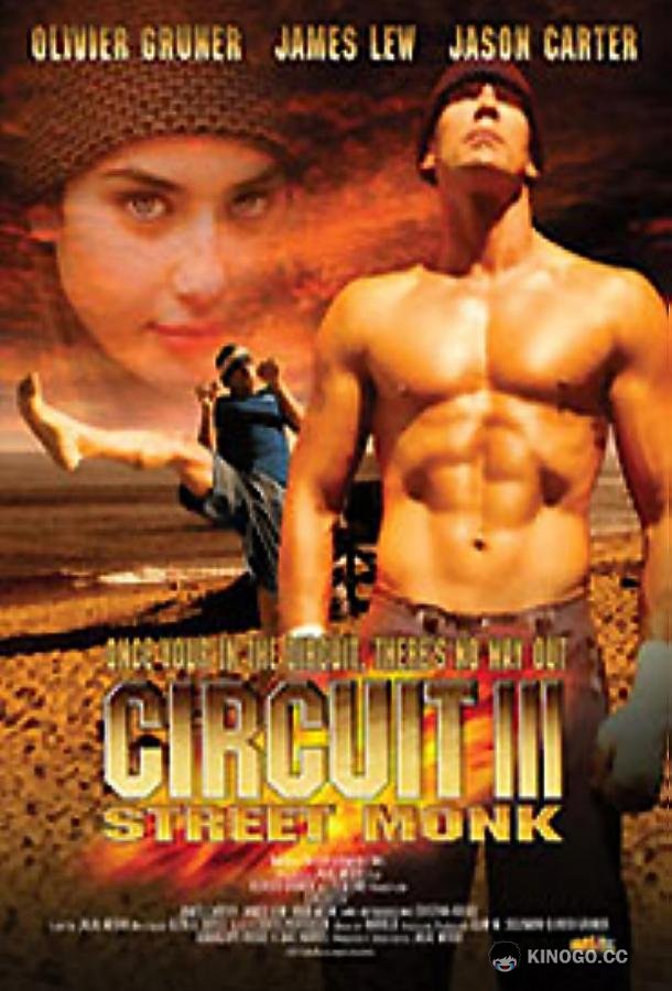 Вихрь 3 (2006) 