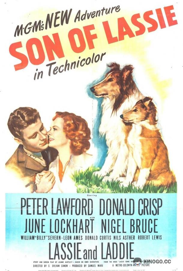 Сын Лесси (1945) 